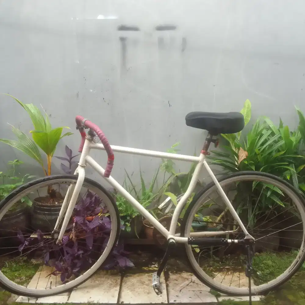 Sepeda fixie bekas murah sepeda bagus