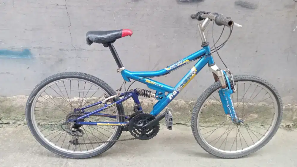 Sepeda MTB Polygon rapid Ukuran 24