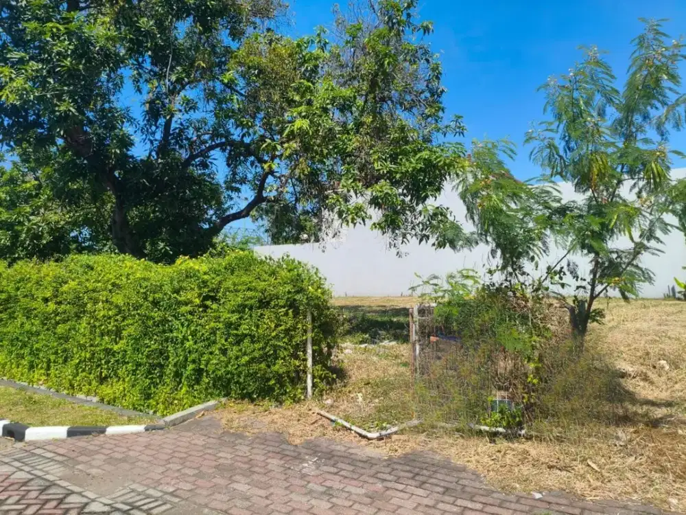 Kavling Darmo Satelit Town House