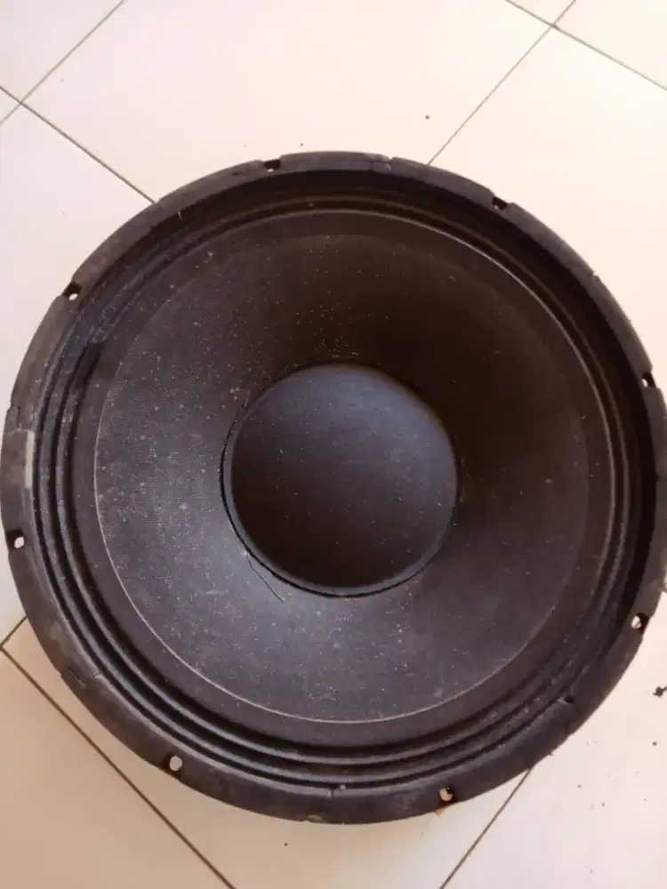 Canon full range 15 inch