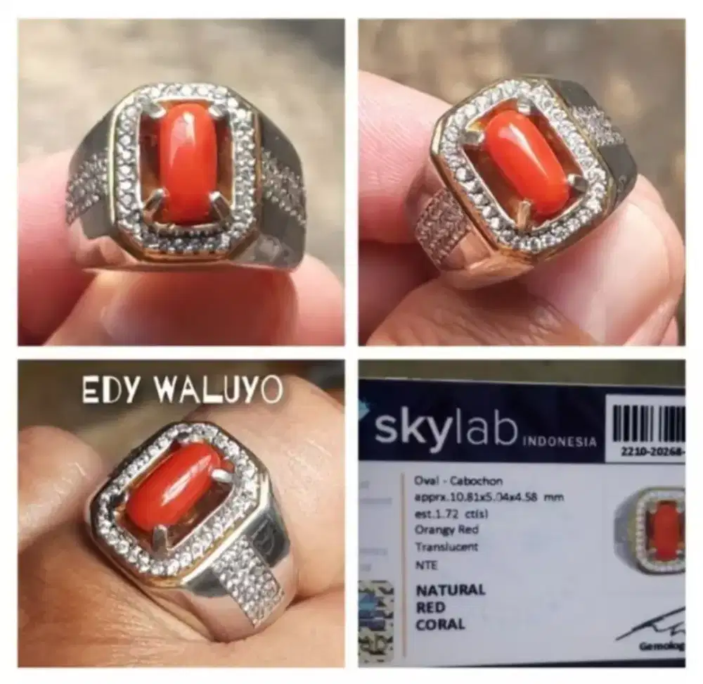 Natural Coral / Marjan Laut Merah