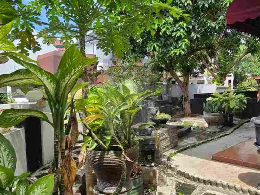 Rumah Murah,Bagus Di Cluster Premium Sektor 9