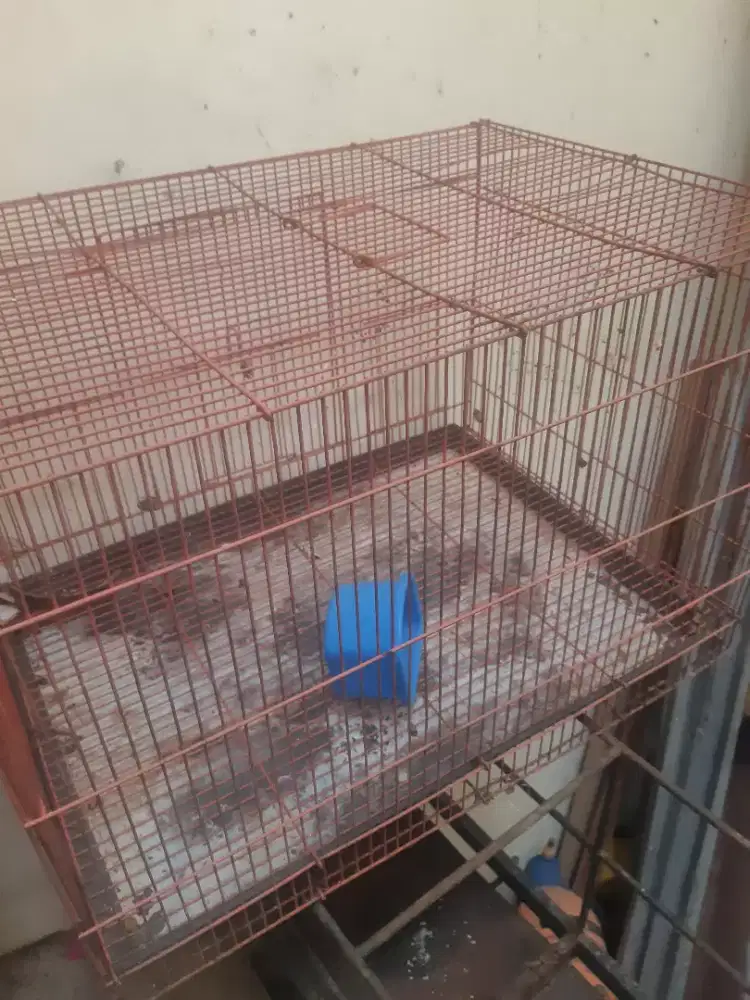 Jual kandang kotak masih bagus