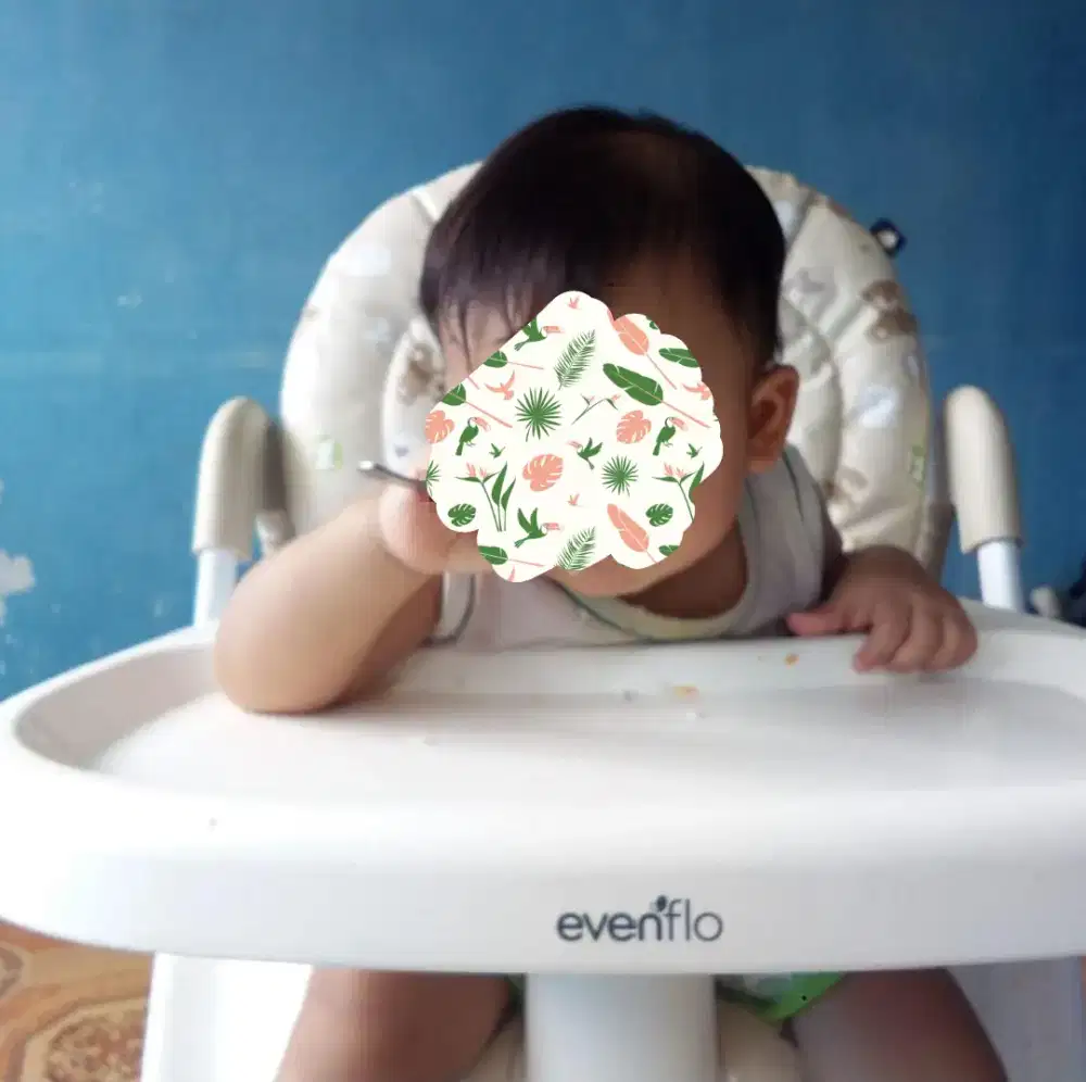 Kursi makan tinggi untuk anak 6 bulan ke atas