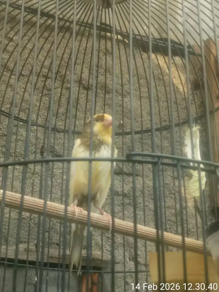 JUAL SANTAI SAMBIL NGOPI