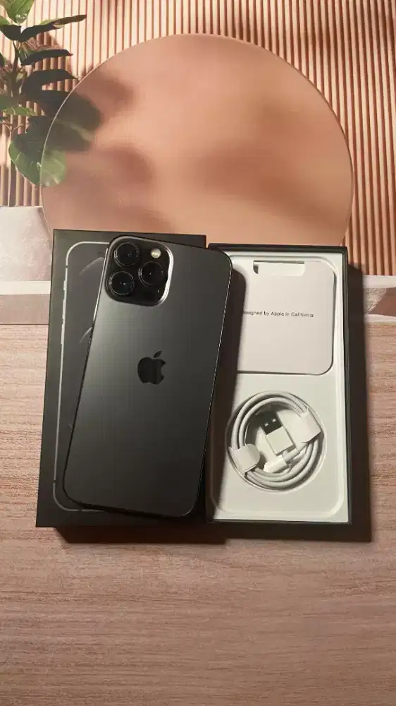 IPHONE 13 PM 256 GB INTER ALLOP