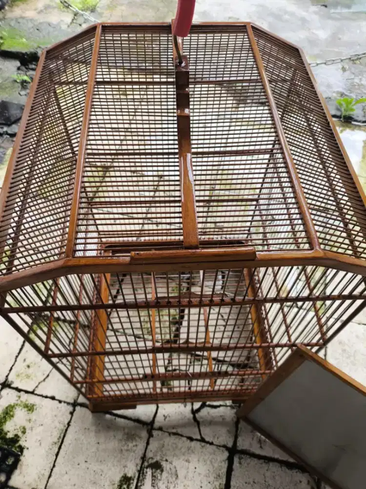 Sangkar kotak UK 45