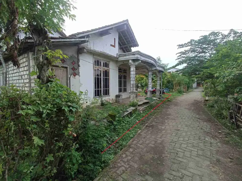 DIJUAL RUMAH 
KEL. : SENDANG
KEC  : SENORI
KAB  : TUBAN