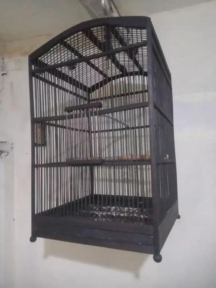 Jual kandang no 2 udah diplitur mulus