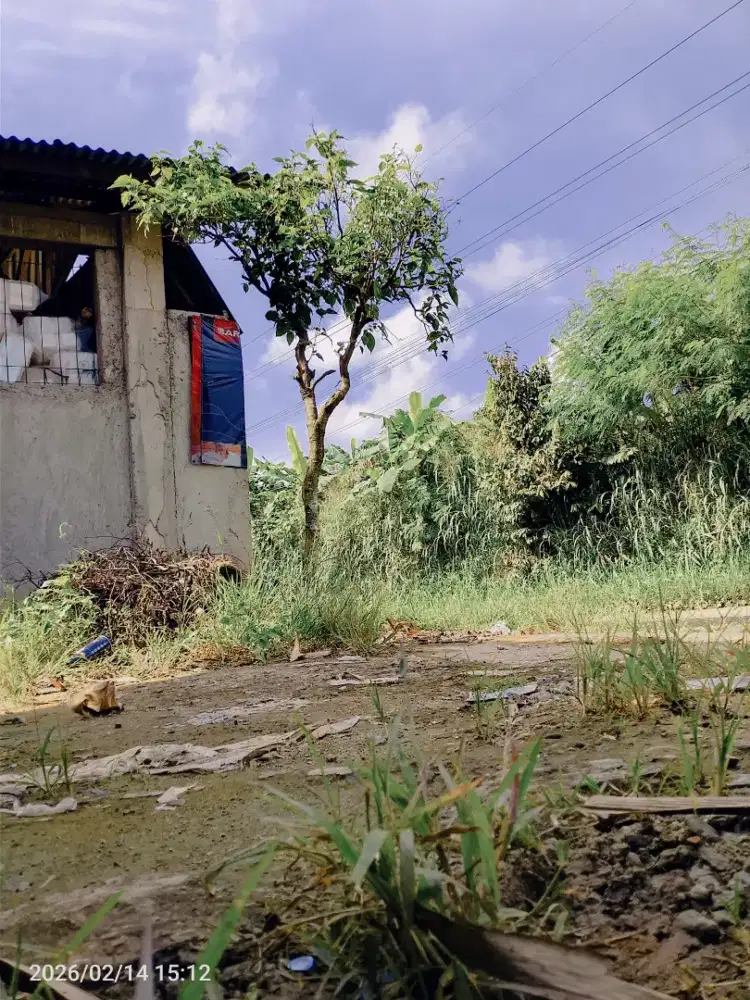 Info jasa, kurir motor antar paket