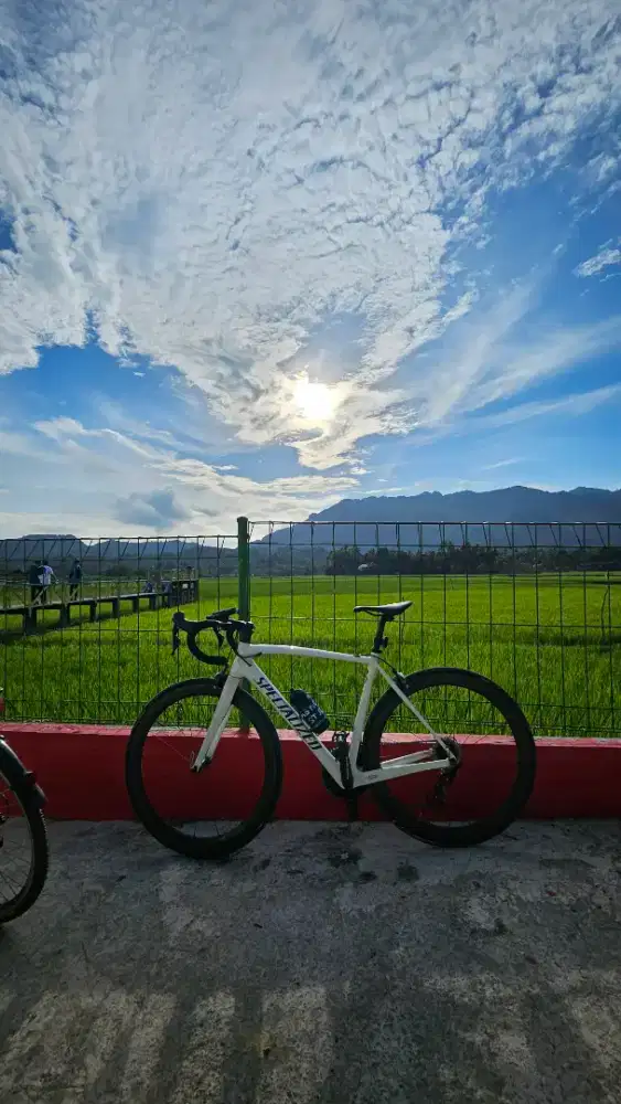 Roadbike specialized SL4 Tarmac