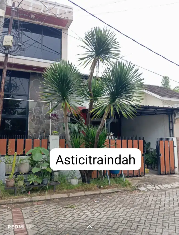 Rumah murah jual BU