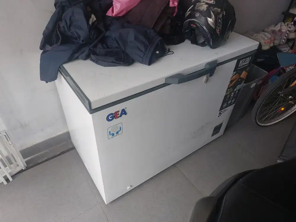 Freezer GEA 300L