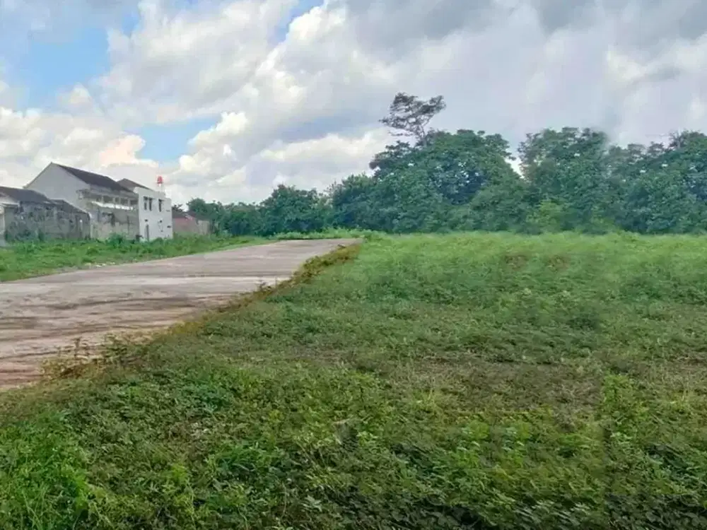 Tanah Murah Simpang Rimbo Kota Jambi