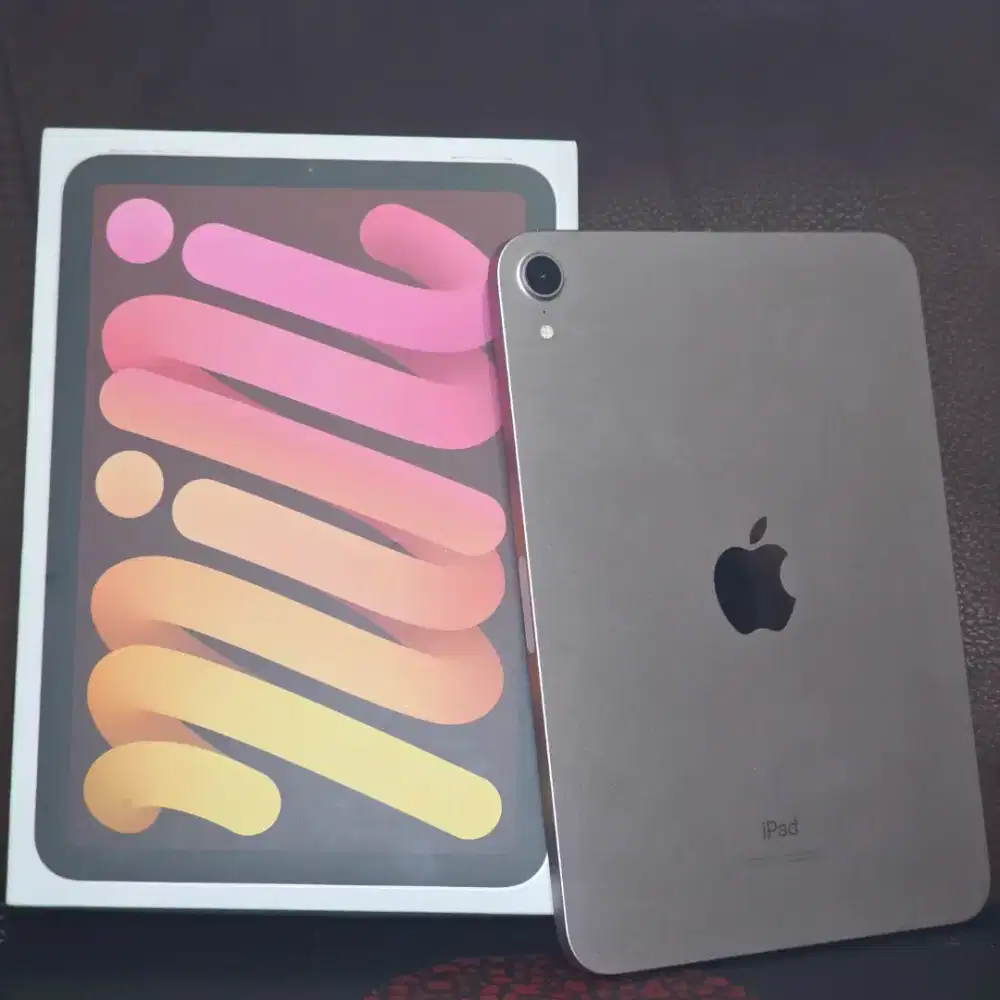 Ipad Mini 6 256 Gb wifi only PINK Istimewa ex inter