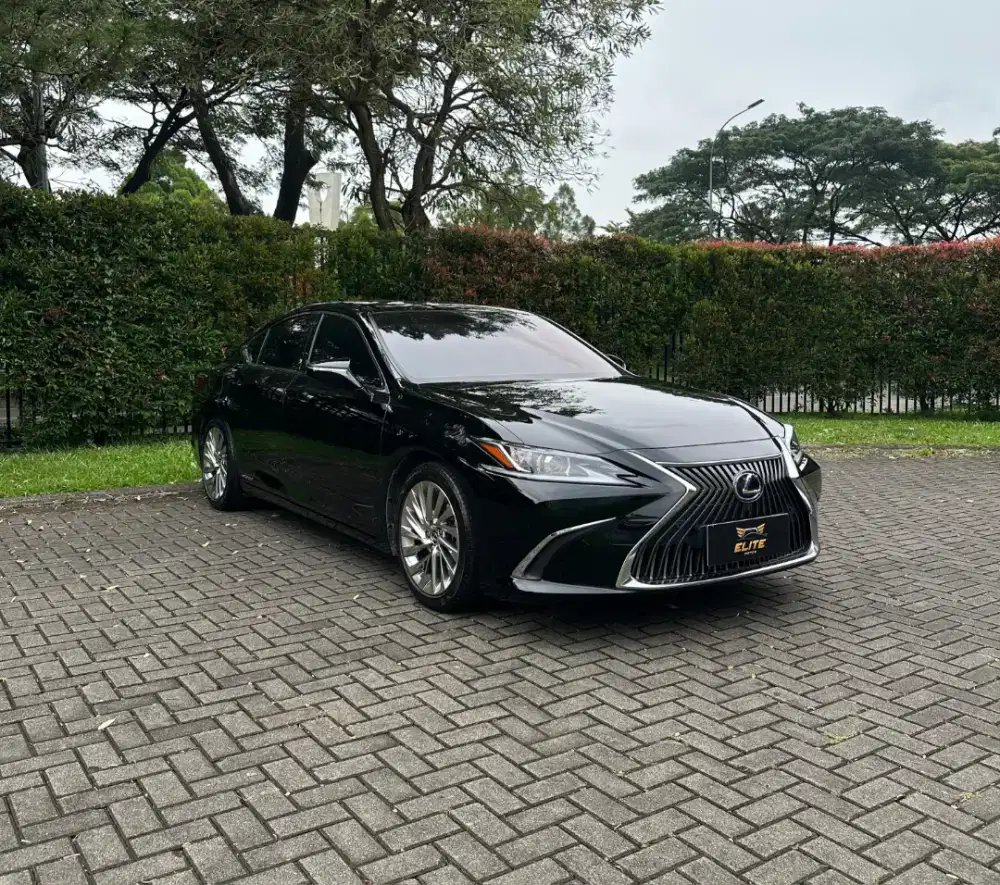 Lexus ES300h Ultra Luxury Sedan 2021