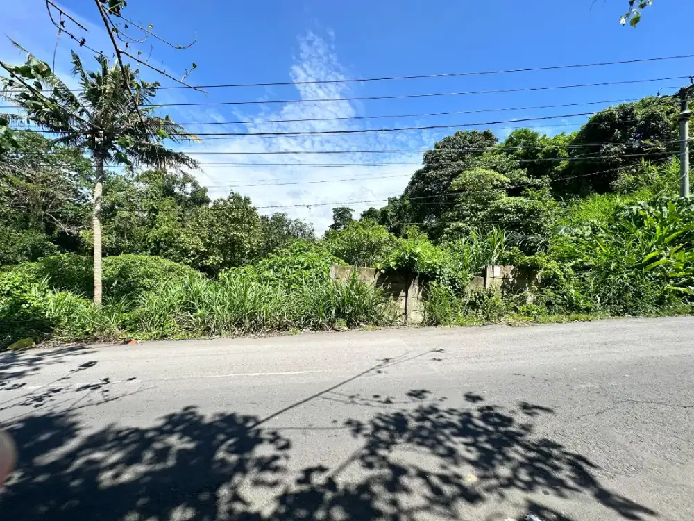 Di jual tanah jalan utama Jaya Sakti , DPS, Bali