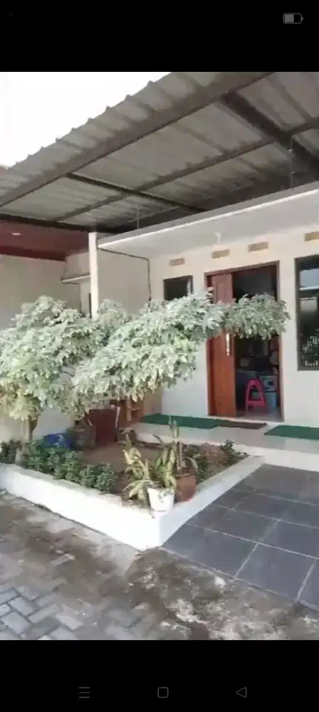 Jual rumah lokasi busukan Utara Jayawijaya lt 70mtr hrg 400jt nego
