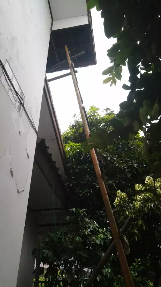 Jasa tenaga serabutan