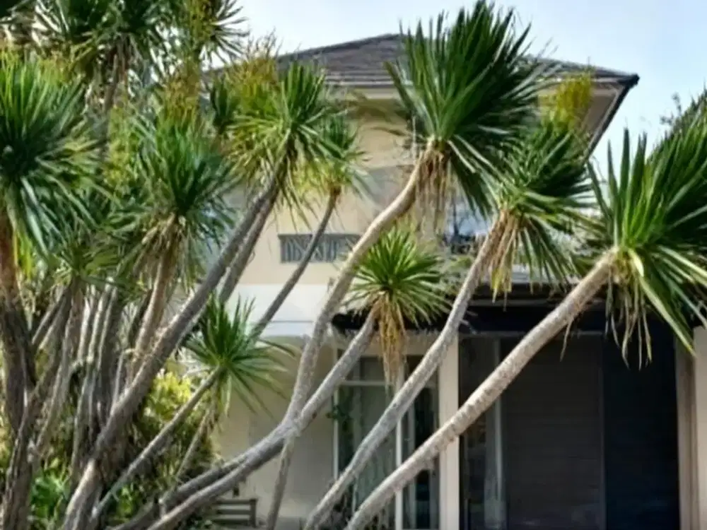 Rumah Malibu Beach, Palm Beach, Pakuwon City  MINIMALIS MURAH LANGKA FURNISH