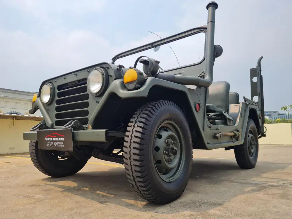 Willys Ultility Mt good condition 1965 (Antik)