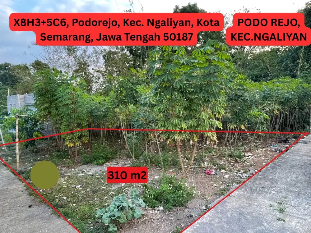 TANAH SIAP DIBANGUN- NGALIYAN