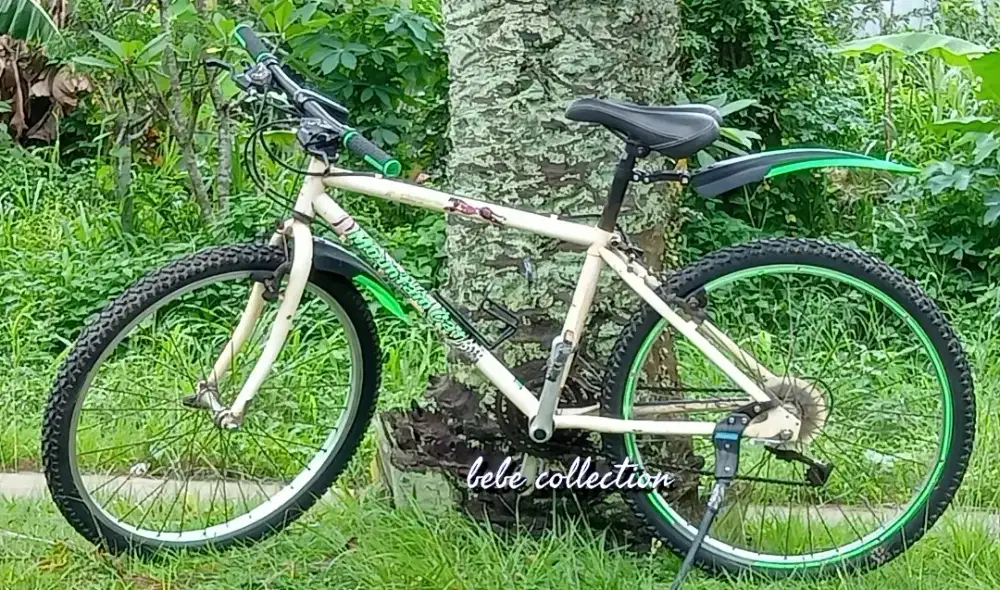 Panasonic Mountain Cat