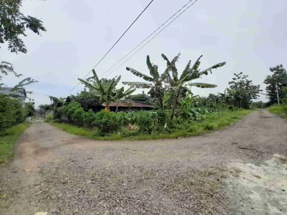 Tanah kosong hook dekat kampus Unwiku Karangsalam Kidul Purwokerto