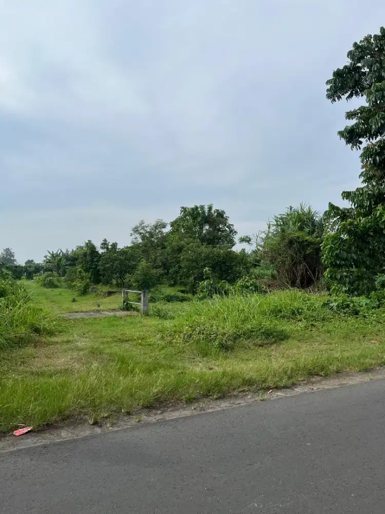 JUAL TANAH FREE PONDASI RUMAH SIAP BANGUN