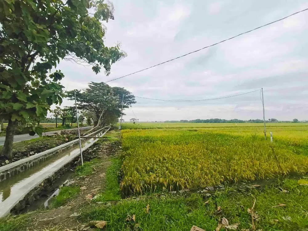 Tanah Industri Untuk dibangun pabrik sragen jawa tengah