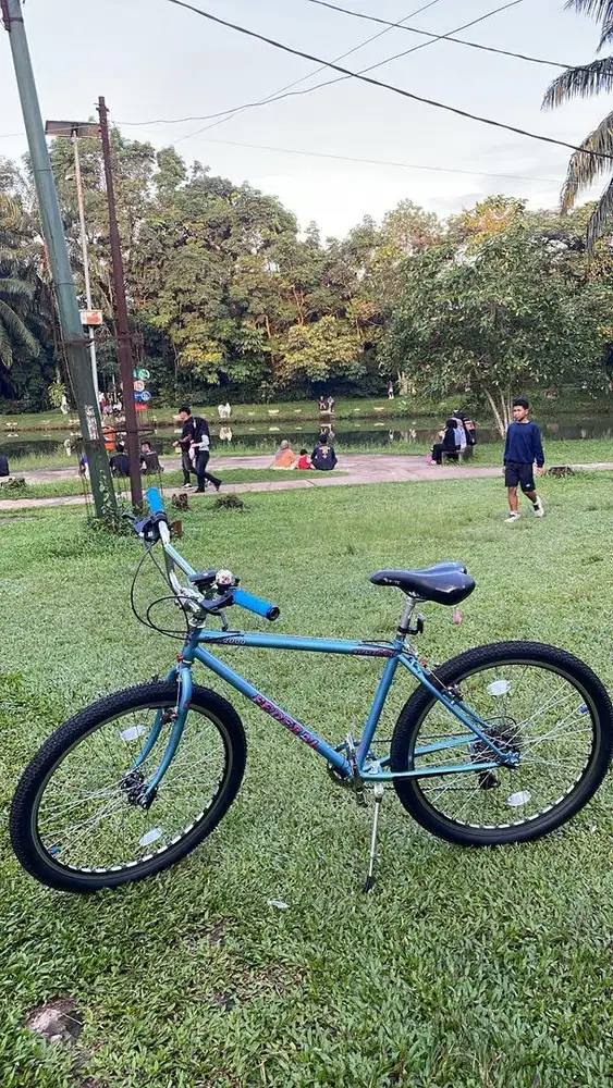 Sepeda federal besic taiwan