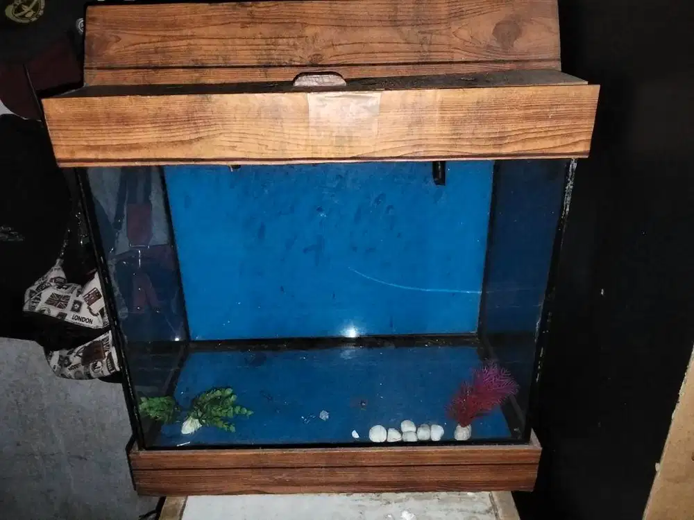 Jual Cepat Aquarium