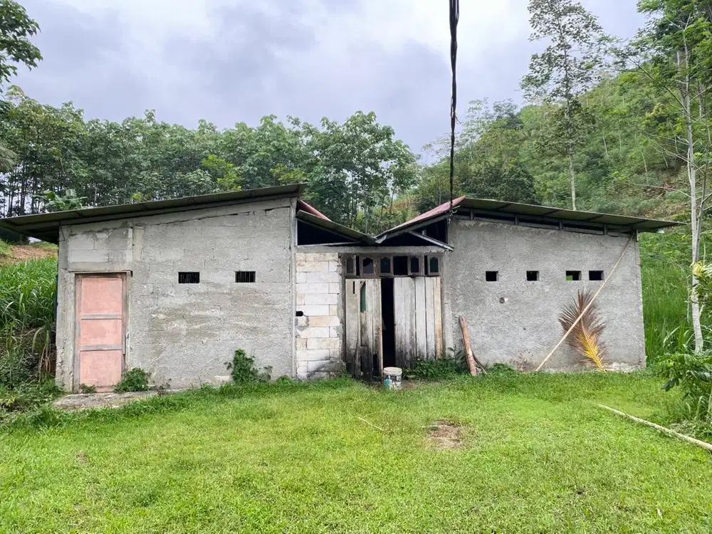 Jual Tanah Perkebunan dan Bangunan Kandang Sapi