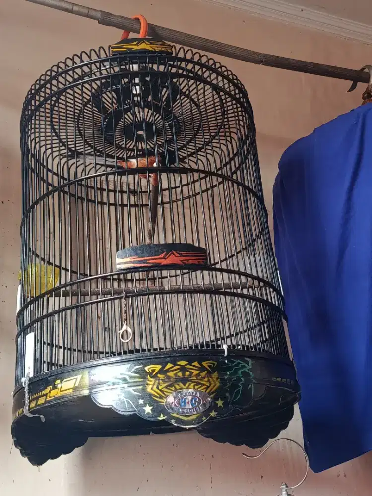 Kandang Murai No. 3 Air Brush