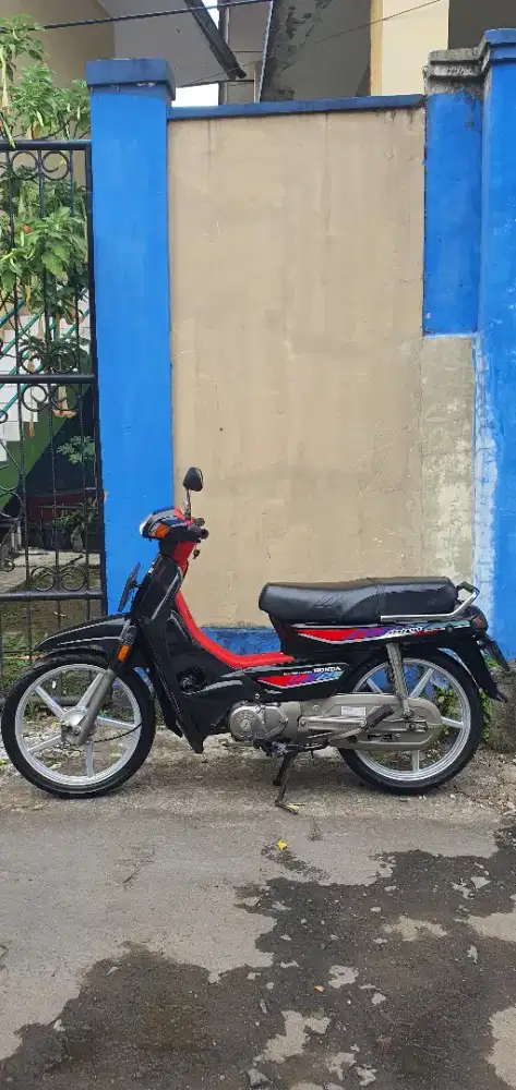 Astrea Grand bulus mulus