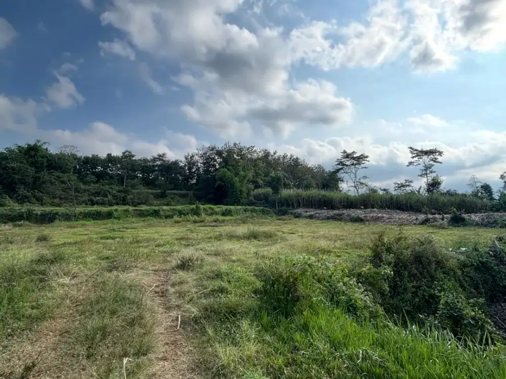 Rame Pendudukan Sertifikat SHM Hunian Investasi Dekat Keluruhan Mulyorejo