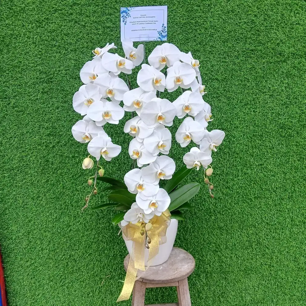 Dicari segera ART + momong anak , minat serius