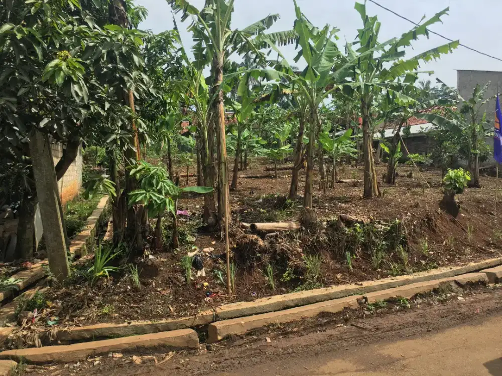 Jual lahan tanah untuk bangun rumah atau kebun