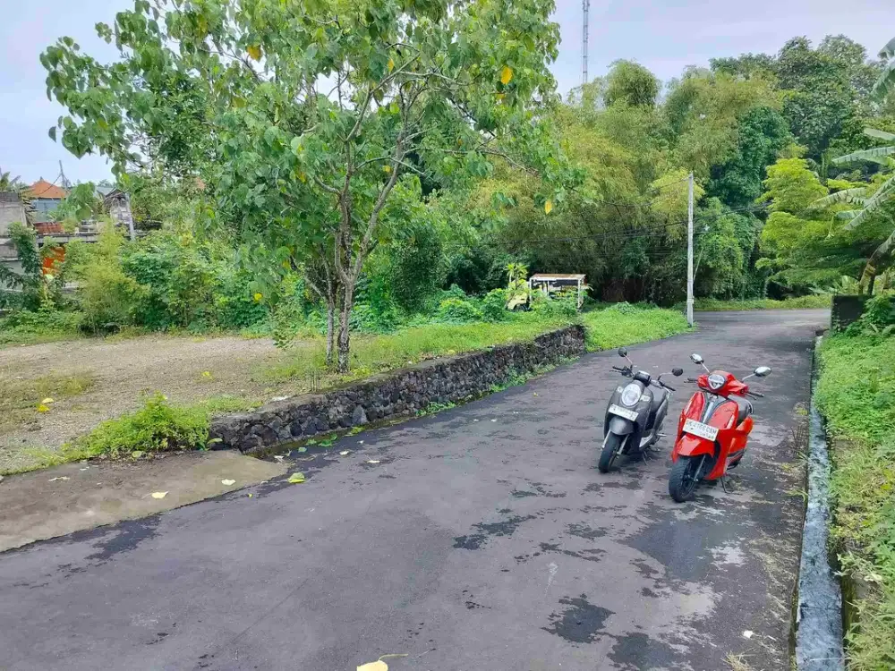 jual tanah lokasi di kedunggu tabanan bali 800m2 harga550 jt/ 100m2