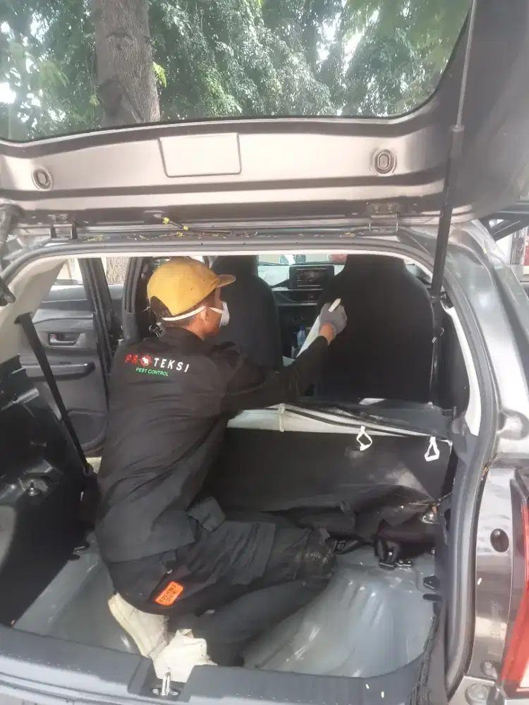 Jasa Pengendalian Hama Pest & Rodent Control - Termite Control