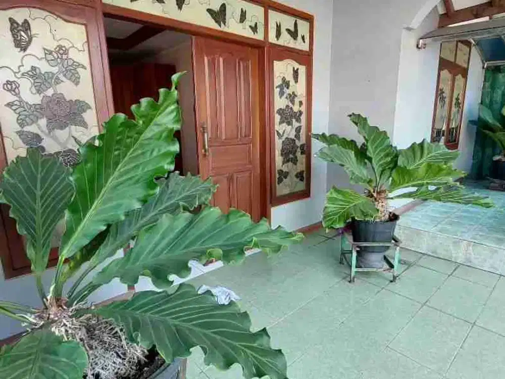 TANAH LUAS KAMAR 7 MURAH MEWAH METRO MARGAHAYU STRATEGIS DEKAT METRO INDAH MALL