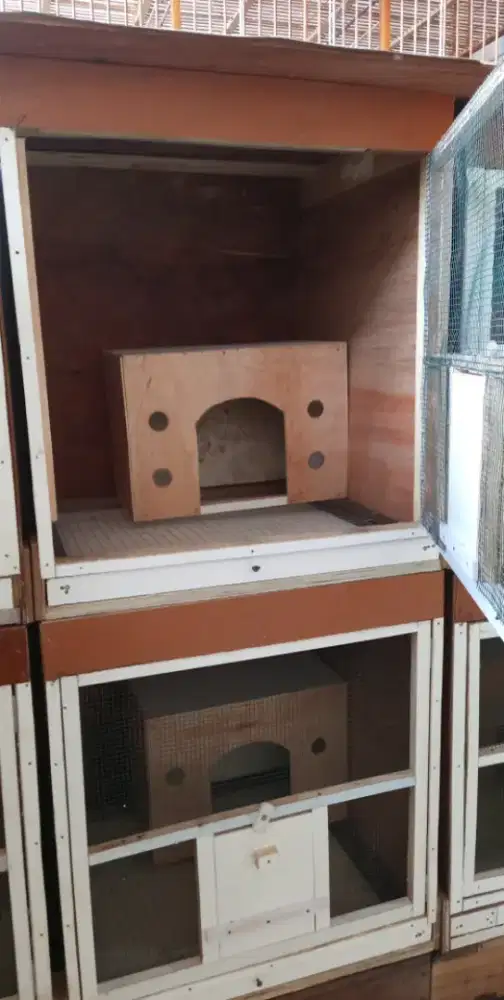 Kandang macan merpati ukuran 62x55cm