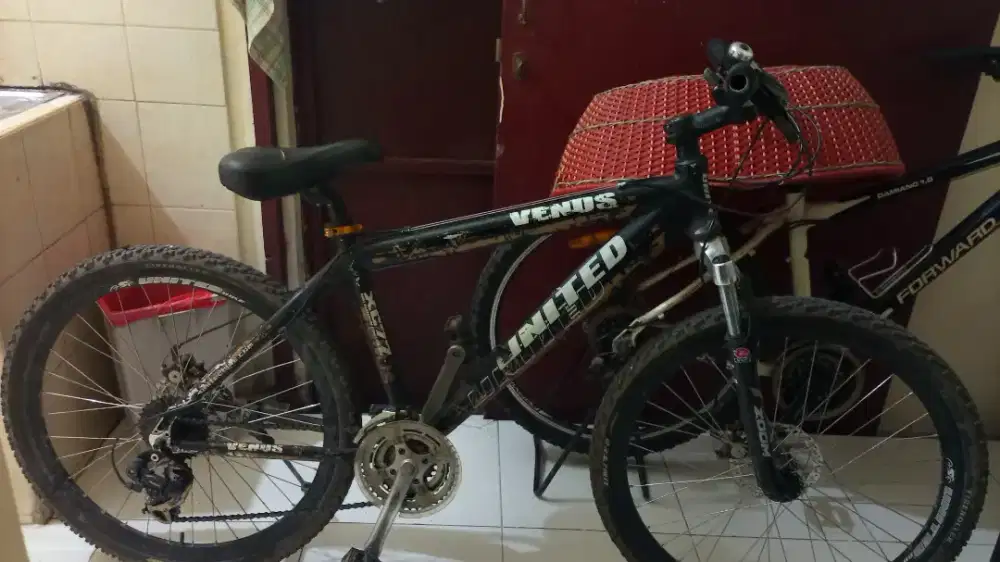 Sepedah gunung united venus