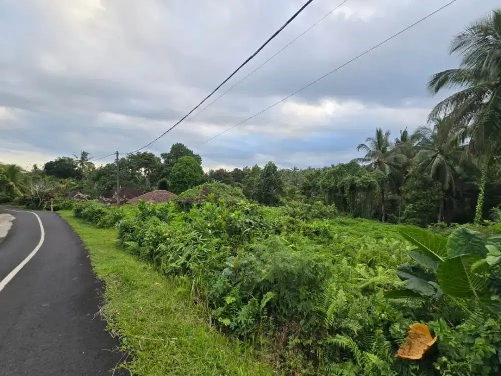 Tanah Los Sungai View Sawah Di Tabanan Bali