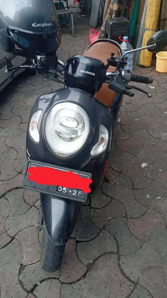 Dijual cepat sok mangga