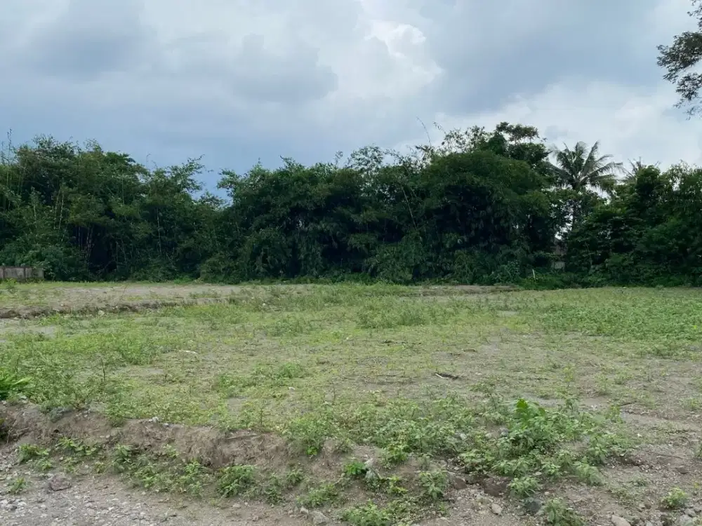 Tanah 1 Jtan Kalasan Utara Dawet Ringin Pak Bardi