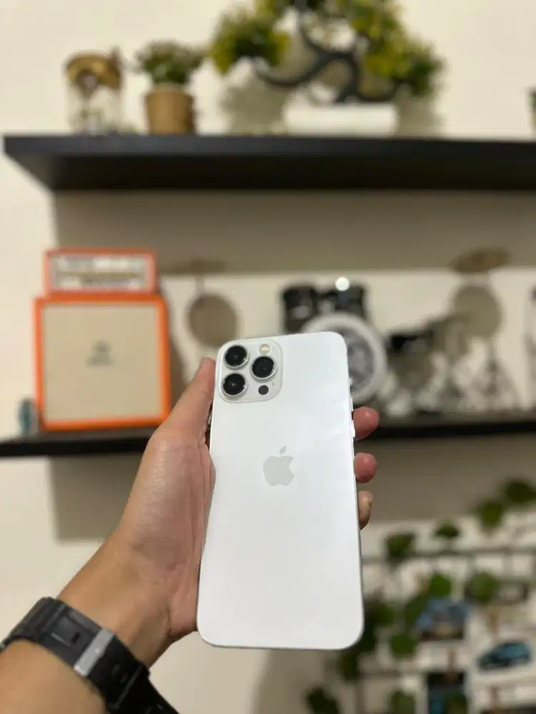 iPhone 13 Promax 128 BEACUKAI