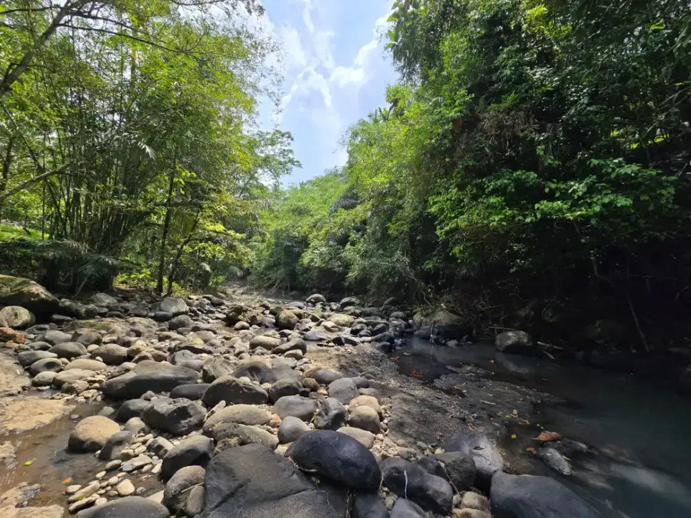 Dijual Tanah Murah Los Sungai View Junggle Tabanan Bali