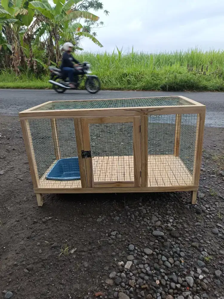 Kandang kucing kayu
