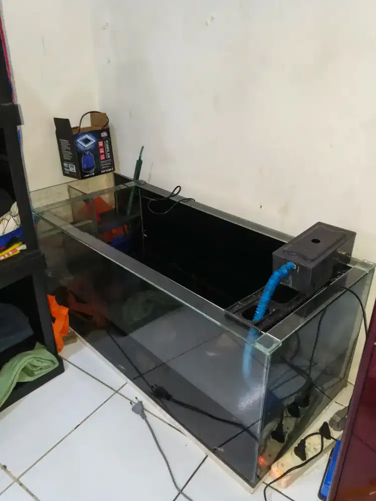 Aquarium untuk ikan